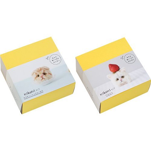 고양이 펑펑 KIT 스코티시 & 페르시아